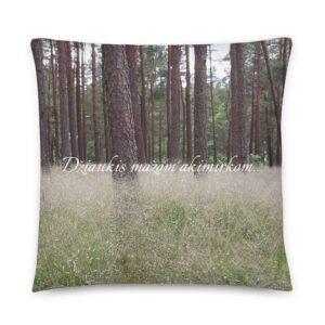 Džiaukis · Pagalvėlė