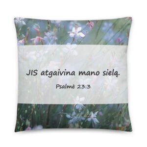 Biblijos citata · Pagalvėlė