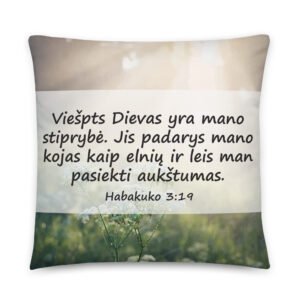 Biblijos citata · Pagalvėlė