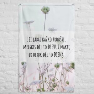 Norai · Interjero vėliava