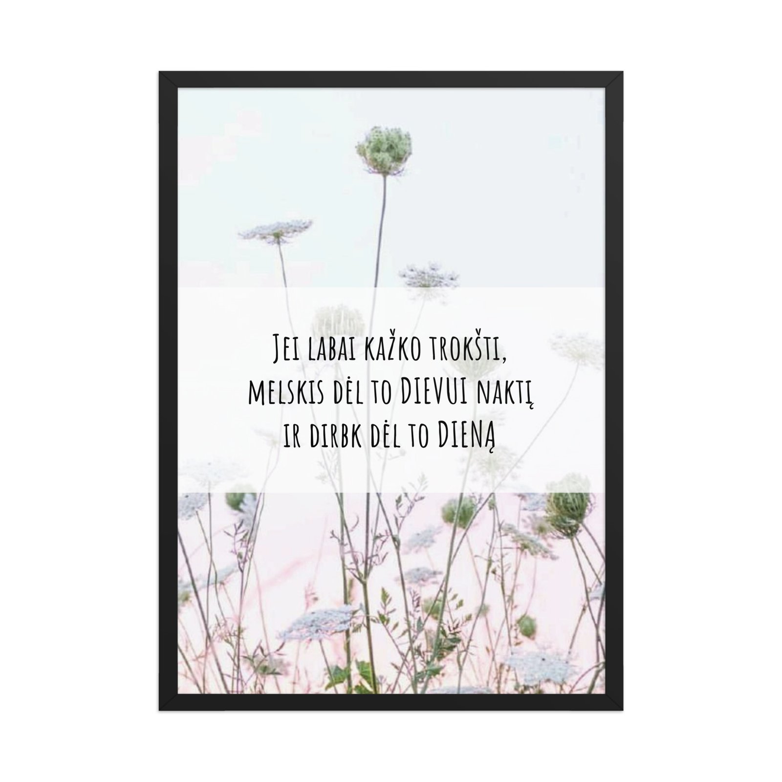 Motyvacijai · Rėmintas paveikslas