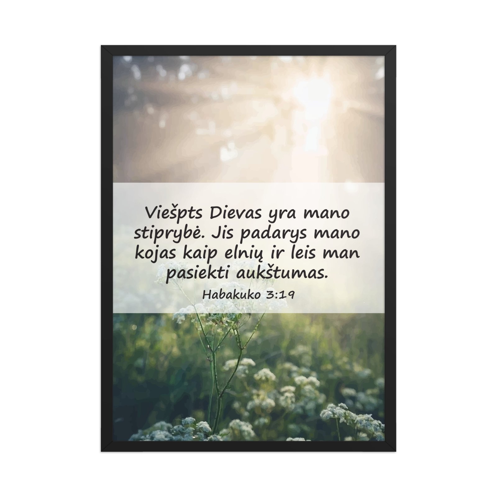 Biblijos citata · Rėmintas paveikslas