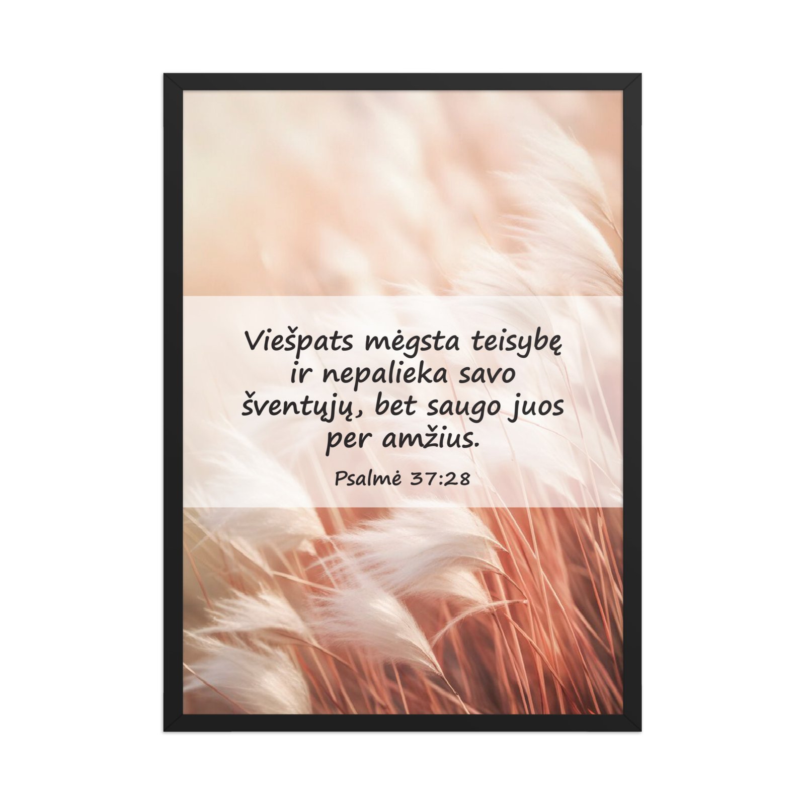 Biblijos citata · Rėmintas paveikslas