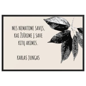 Filosofinė citata · Rėmintas paveikslas