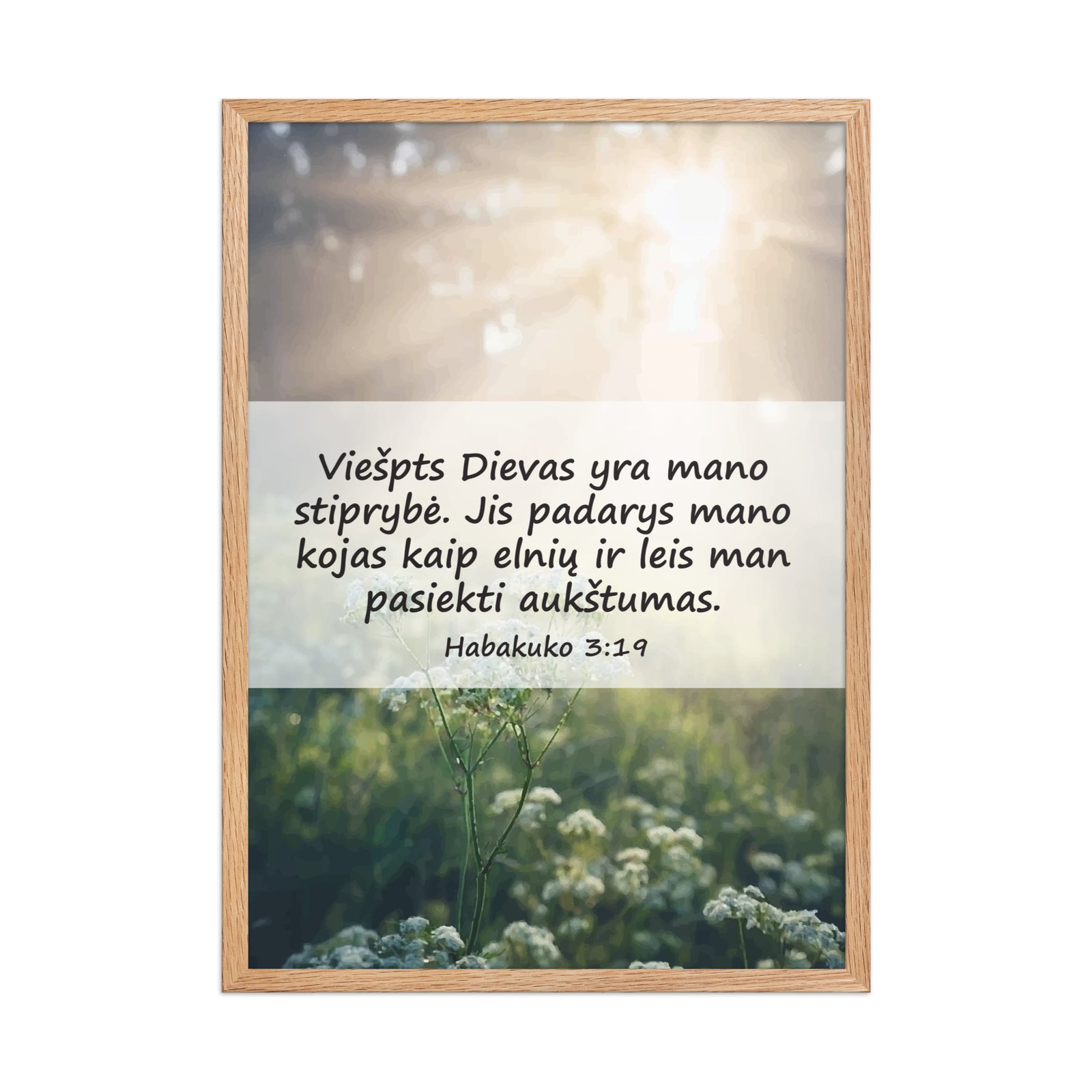 Biblijos citata · Rėmintas paveikslas - Image 2