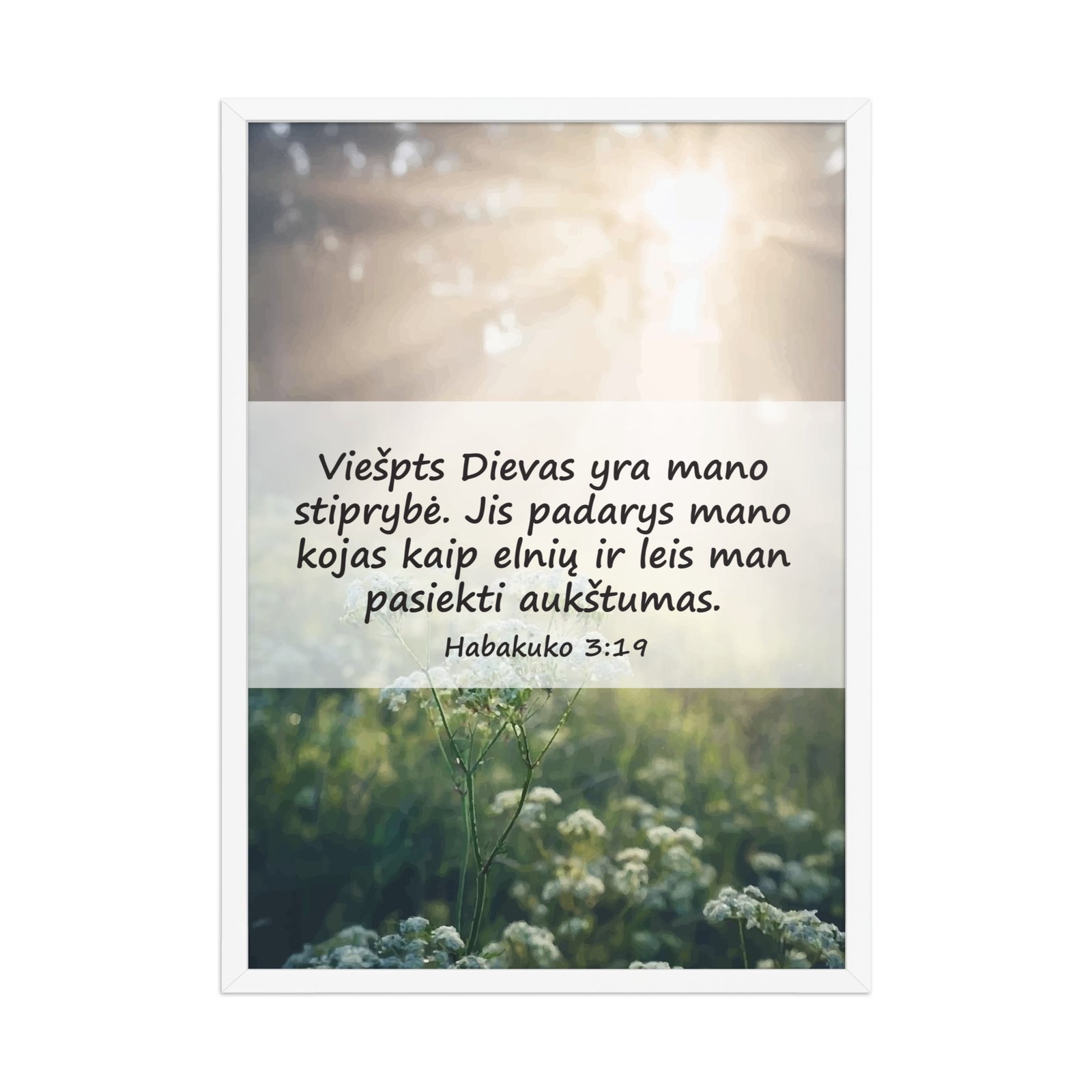 Biblijos citata · Rėmintas paveikslas - Image 3