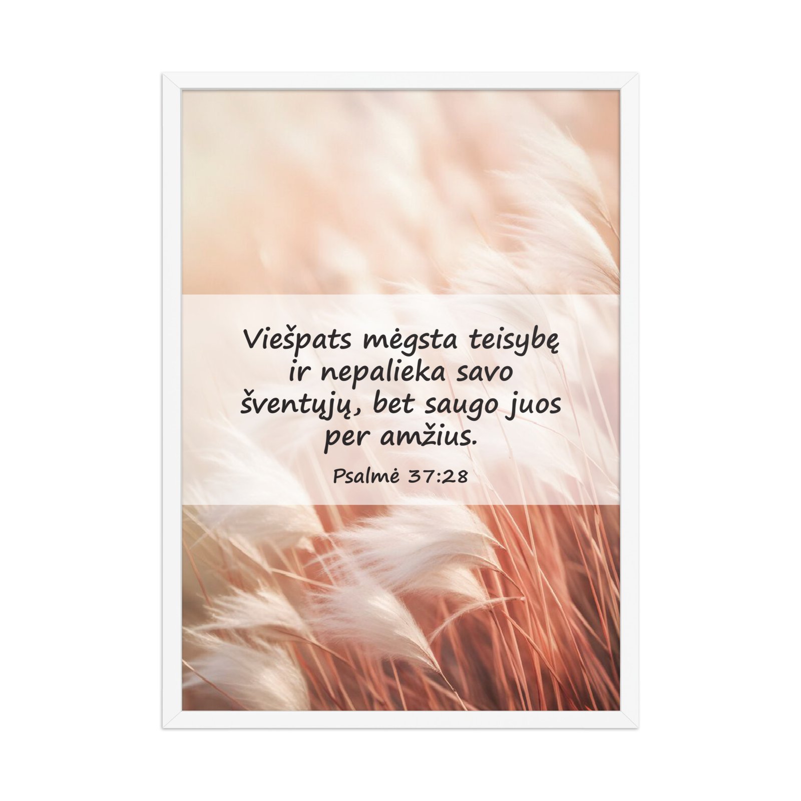 Biblijos citata · Rėmintas paveikslas - Image 3