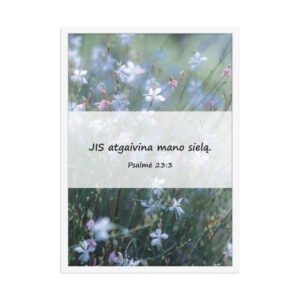 Biblijos citata · Rėmintas paveikslas