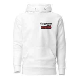 Siuvinėtas džemperis