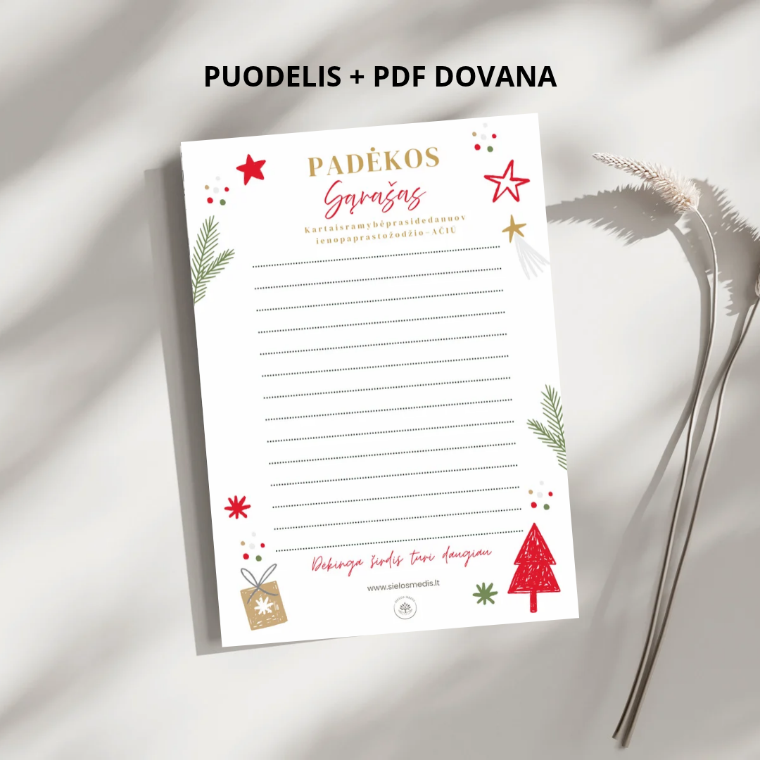 Dėkoju · Kalėdinis padėkos puodelis + PDF „Padėkos sąrašas“ - Image 4