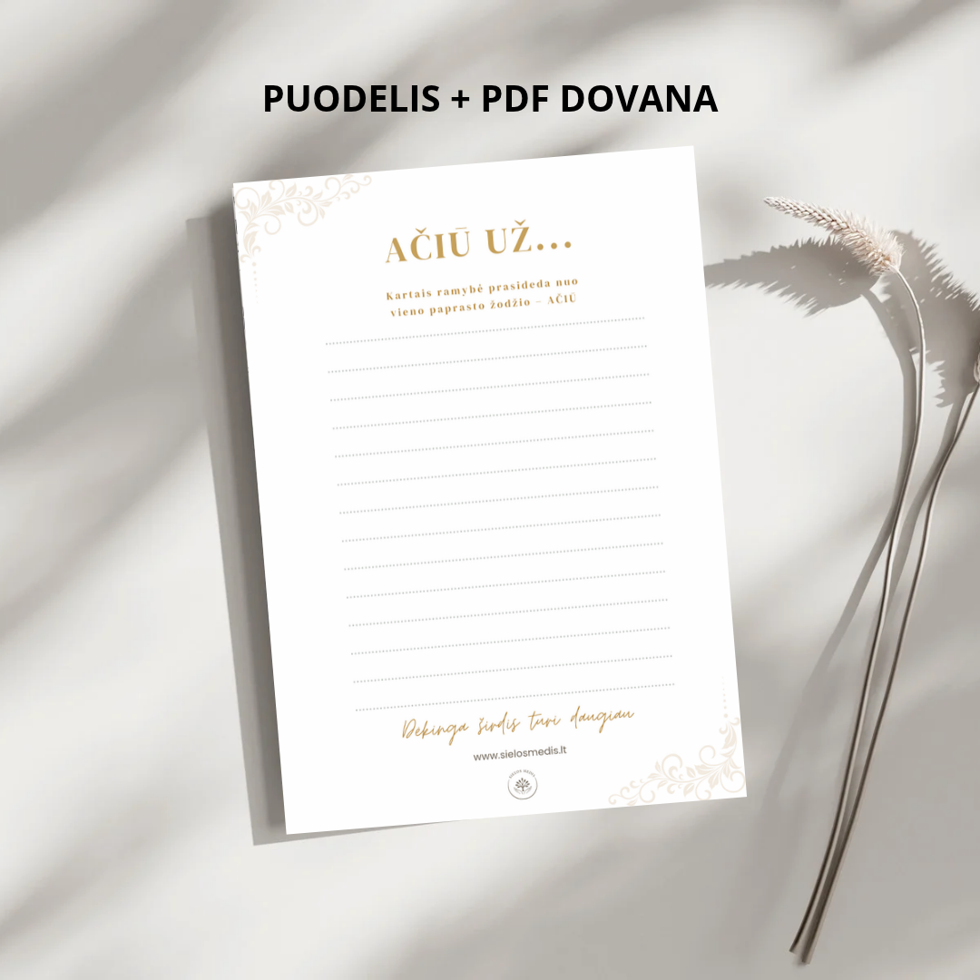 Ačiū · Padėkos puodelis + PDF „Ačiū už" - Image 5
